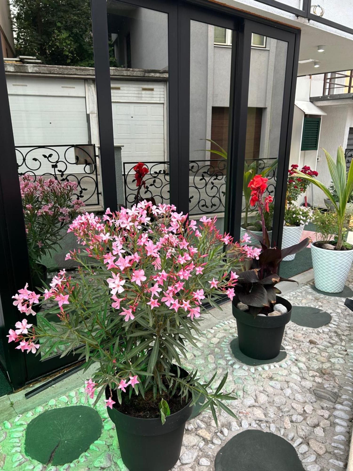 Halvat Guesthouse SJJ Buitenkant foto